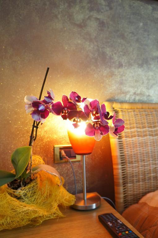 B&B Stephany Tirano Ngoại thất bức ảnh